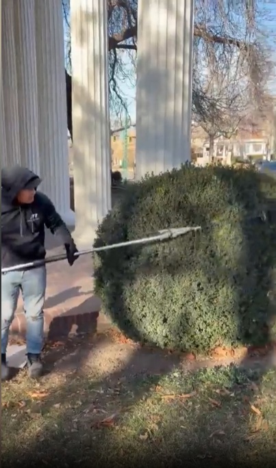 After: Yard trimming and wood removal