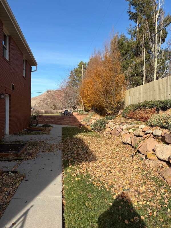 Yard Full Clean Up And Mainteniance — 2