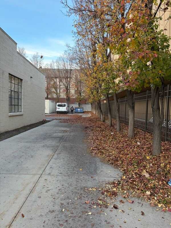 Seasonal Cleanup — 2